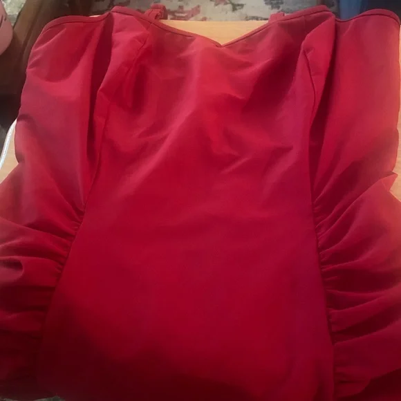 ‼️SOLD *Worn Twice* Panache “Anya” One-Piece Suit - Picture 4 of 4